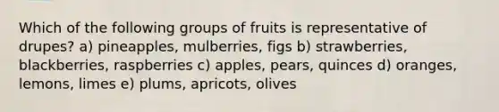 Which of the following groups of fruits is representative of drupes? a) pineapples, mulberries, figs b) strawberries, blackberries, raspberries c) apples, pears, quinces d) oranges, lemons, limes e) plums, apricots, olives