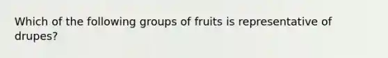 Which of the following groups of fruits is representative of drupes?