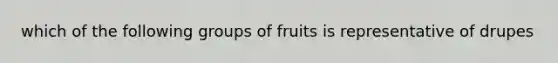 which of the following groups of fruits is representative of drupes