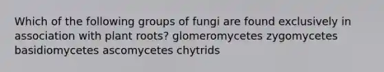 Which of the following groups of fungi are found exclusively in association with plant roots? glomeromycetes zygomycetes basidiomycetes ascomycetes chytrids