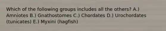 Which of the following groups includes all the others? A.) Amniotes B.) Gnathostomes C.) Chordates D.) Urochordates (tunicates) E.) Myxini (hagfish)