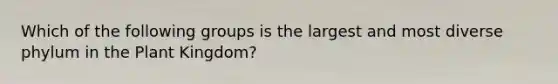 Which of the following groups is the largest and most diverse phylum in the Plant Kingdom?