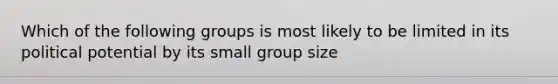 Which of the following groups is most likely to be limited in its political potential by its small group size