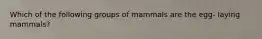 Which of the following groups of mammals are the egg- laying mammals?