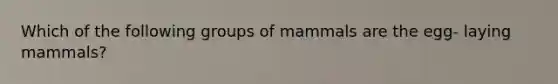 Which of the following groups of mammals are the egg- laying mammals?