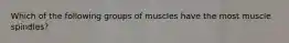 Which of the following groups of muscles have the most muscle spindles?