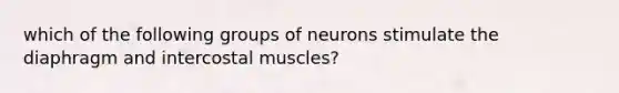 which of the following groups of neurons stimulate the diaphragm and intercostal muscles?