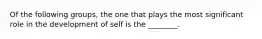 Of the following groups, the one that plays the most significant role in the development of self is the ________.