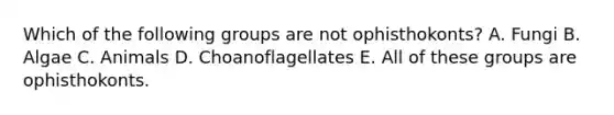 Which of the following groups are not ophisthokonts? A. Fungi B. Algae C. Animals D. Choanoflagellates E. All of these groups are ophisthokonts.