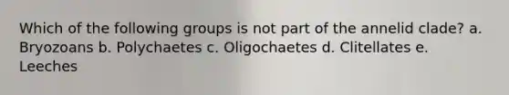 Which of the following groups is not part of the annelid clade? a. Bryozoans b. Polychaetes c. Oligochaetes d. Clitellates e. Leeches