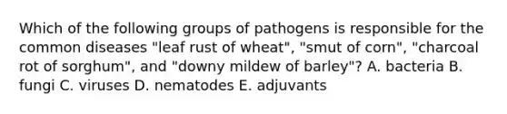 Which of the following groups of pathogens is responsible for the common diseases "leaf rust of wheat", "smut of corn", "charcoal rot of sorghum", and "downy mildew of barley"? A. bacteria B. fungi C. viruses D. nematodes E. adjuvants