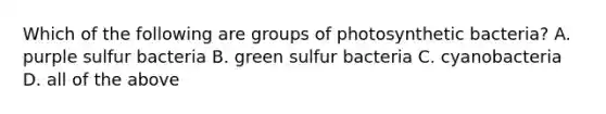 Which of the following are groups of photosynthetic bacteria? A. purple sulfur bacteria B. green sulfur bacteria C. cyanobacteria D. all of the above