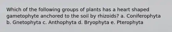 Which of the following groups of plants has a heart shaped gametophyte anchored to the soil by rhizoids? a. Coniferophyta b. Gnetophyta c. Anthophyta d. Bryophyta e. Pterophyta