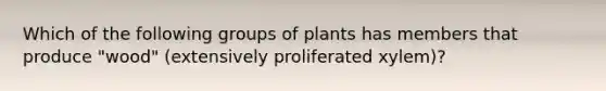 Which of the following groups of plants has members that produce "wood" (extensively proliferated xylem)?