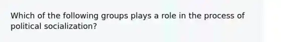 Which of the following groups plays a role in the process of political socialization?