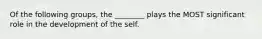 Of the following groups, the ________ plays the MOST significant role in the development of the self.