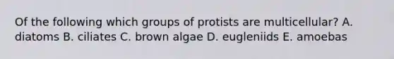 Of the following which groups of protists are multicellular? A. diatoms B. ciliates C. brown algae D. eugleniids E. amoebas