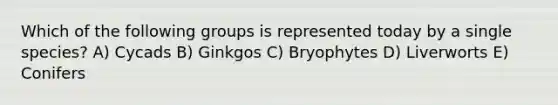 Which of the following groups is represented today by a single species? A) Cycads B) Ginkgos C) Bryophytes D) Liverworts E) Conifers