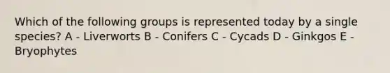 Which of the following groups is represented today by a single species? A - Liverworts B - Conifers C - Cycads D - Ginkgos E - Bryophytes