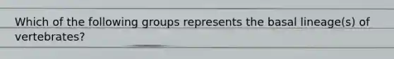 Which of the following groups represents the basal lineage(s) of vertebrates?