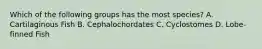 Which of the following groups has the most species? A. Cartilaginous Fish B. Cephalochordates C. Cyclostomes D. Lobe-finned Fish