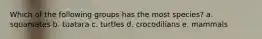Which of the following groups has the most species? a. squamates b. tuatara c. turtles d. crocodilians e. mammals