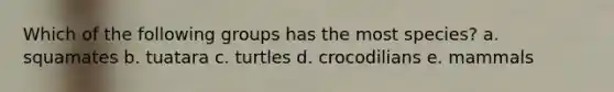 Which of the following groups has the most species? a. squamates b. tuatara c. turtles d. crocodilians e. mammals