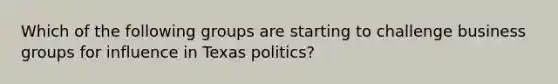 Which of the following groups are starting to challenge business groups for influence in Texas politics?