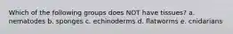 Which of the following groups does NOT have tissues? a. nematodes b. sponges c. echinoderms d. flatworms e. cnidarians