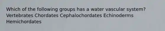 Which of the following groups has a water vascular system? Vertebrates Chordates Cephalochordates Echinoderms Hemichordates