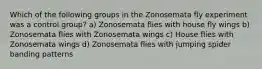 Which of the following groups in the Zonosemata fly experiment was a control group? a) Zonosemata flies with house fly wings b) Zonosemata flies with Zonosemata wings c) House flies with Zonosemata wings d) Zonosemata flies with jumping spider banding patterns