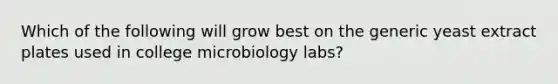 Which of the following will grow best on the generic yeast extract plates used in college microbiology labs?