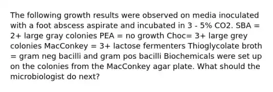 The following growth results were observed on media inoculated with a foot abscess aspirate and incubated in 3 - 5% CO2. SBA = 2+ large gray colonies PEA = no growth Choc= 3+ large grey colonies MacConkey = 3+ lactose fermenters Thioglycolate broth = gram neg bacilli and gram pos bacilli Biochemicals were set up on the colonies from the MacConkey agar plate. What should the microbiologist do next?