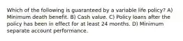 Which of the following is guaranteed by a variable life policy? A) Minimum death benefit. B) Cash value. C) Policy loans after the policy has been in effect for at least 24 months. D) Minimum separate account performance.