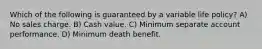 Which of the following is guaranteed by a variable life policy? A) No sales charge. B) Cash value. C) Minimum separate account performance. D) Minimum death benefit.