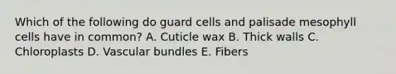 Which of the following do guard cells and palisade mesophyll cells have in common? A. Cuticle wax B. Thick walls C. Chloroplasts D. Vascular bundles E. Fibers