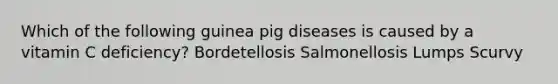 Which of the following guinea pig diseases is caused by a vitamin C deficiency? Bordetellosis Salmonellosis Lumps Scurvy