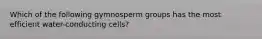 Which of the following gymnosperm groups has the most efficient water-conducting cells?