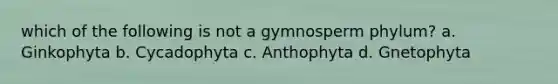 which of the following is not a gymnosperm phylum? a. Ginkophyta b. Cycadophyta c. Anthophyta d. Gnetophyta