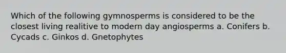 Which of the following gymnosperms is considered to be the closest living realitive to modern day angiosperms a. Conifers b. Cycads c. Ginkos d. Gnetophytes