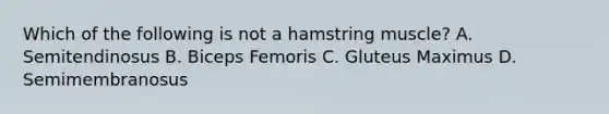 Which of the following is not a hamstring muscle? A. Semitendinosus B. Biceps Femoris C. Gluteus Maximus D. Semimembranosus