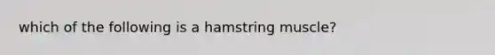 which of the following is a hamstring muscle?