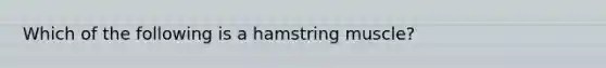 Which of the following is a hamstring muscle?