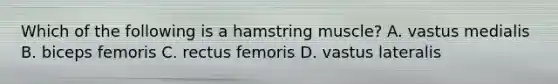 Which of the following is a hamstring muscle? A. vastus medialis B. biceps femoris C. rectus femoris D. vastus lateralis