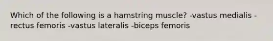 Which of the following is a hamstring muscle? -vastus medialis -rectus femoris -vastus lateralis -biceps femoris