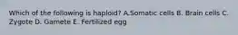 Which of the following is haploid? A.Somatic cells B. Brain cells C. Zygote D. Gamete E. Fertilized egg