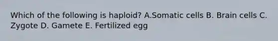 Which of the following is haploid? A.Somatic cells B. Brain cells C. Zygote D. Gamete E. Fertilized egg