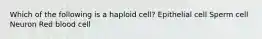 Which of the following is a haploid cell? Epithelial cell Sperm cell Neuron Red blood cell