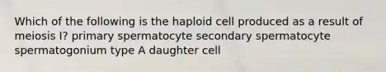 Which of the following is the haploid cell produced as a result of meiosis I? primary spermatocyte secondary spermatocyte spermatogonium type A daughter cell