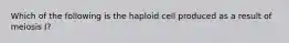 Which of the following is the haploid cell produced as a result of meiosis I?